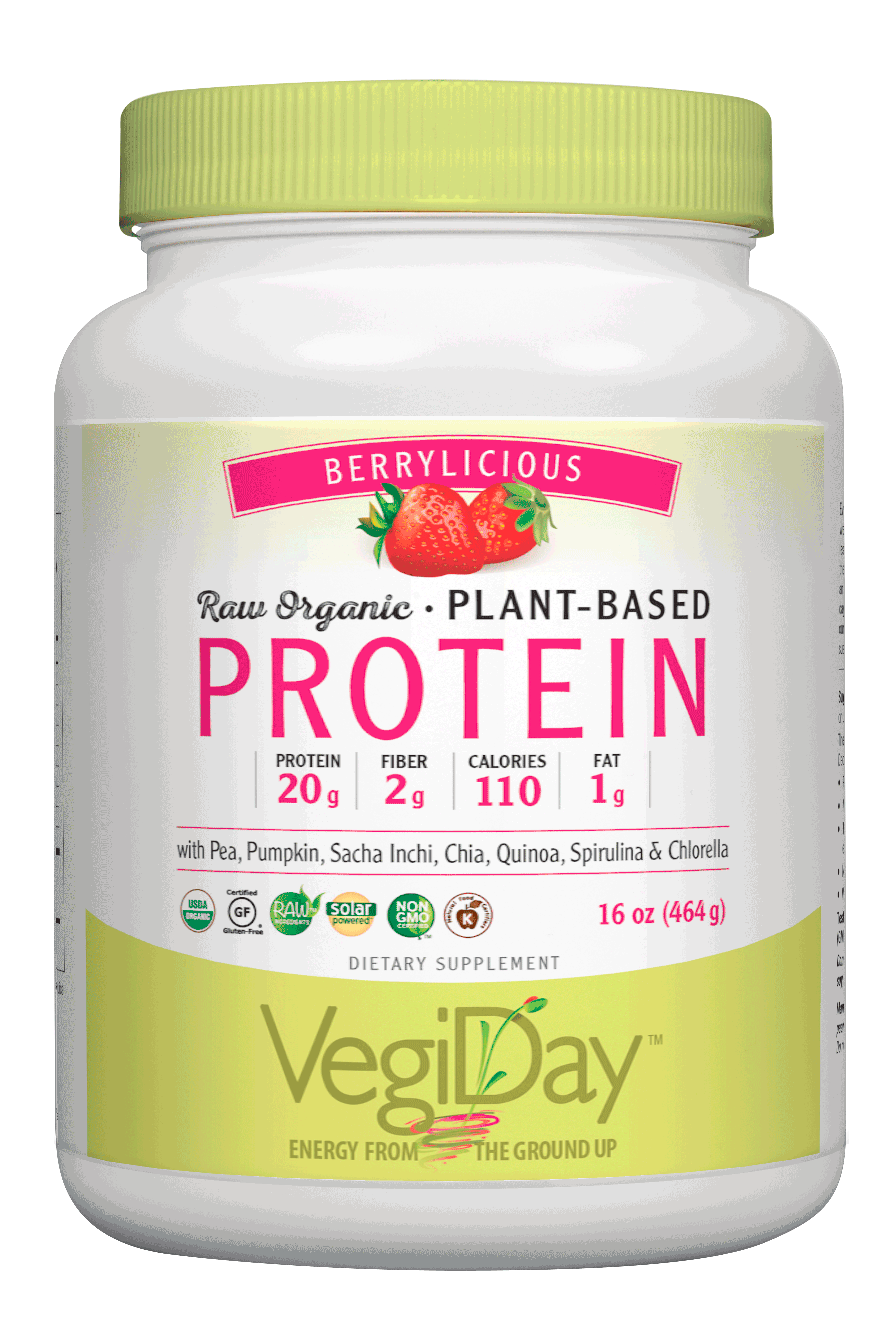 Natural Factors Raw Organic 100% Plant-Based Protein Very Berry