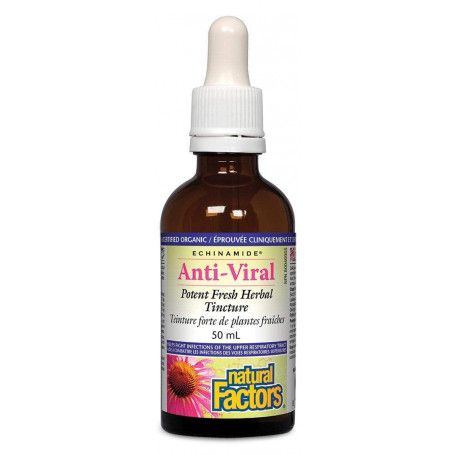 Natural Factors Anti-V Liquid Formula, Echinacea Supplement For