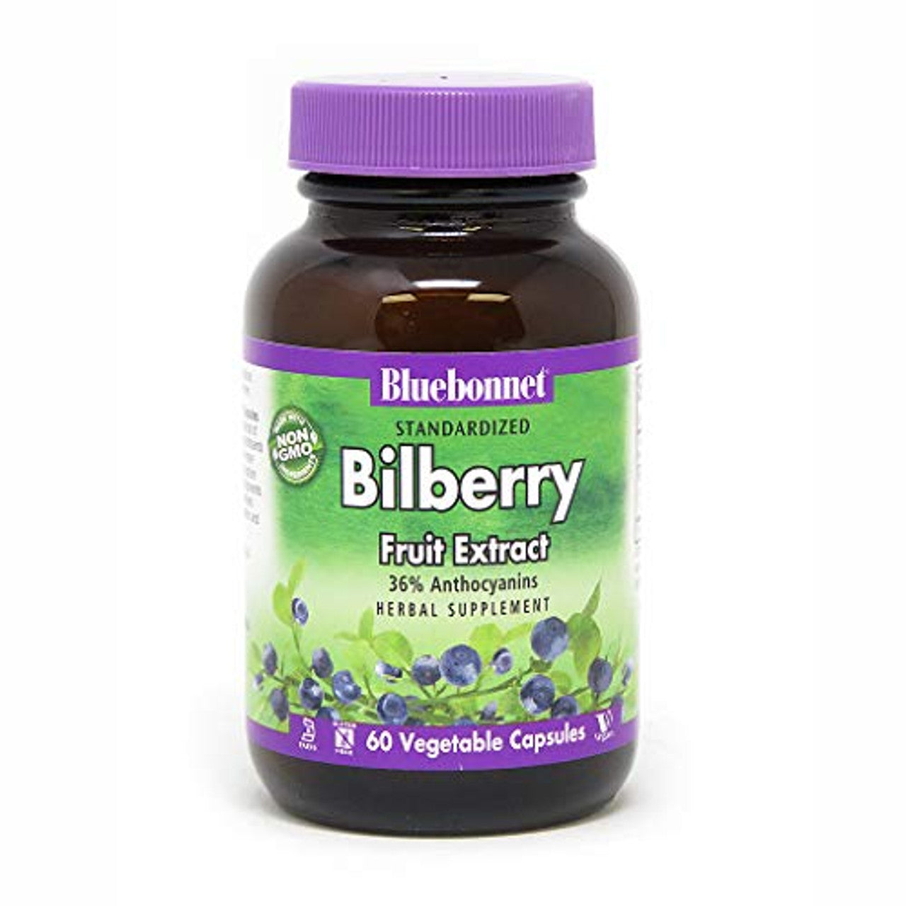 Bluebonnet Bilberry Fruit Extract Supplement