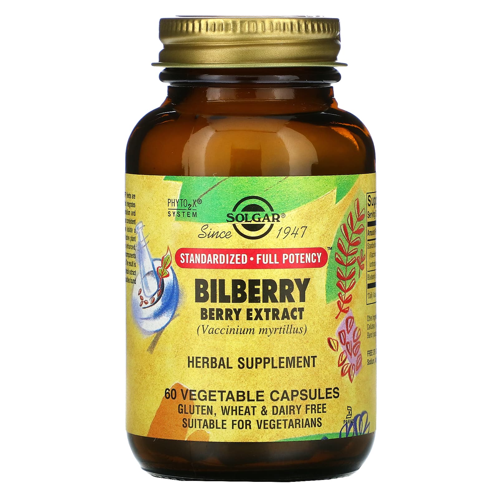 Solgar Bilberry Berry Extract -- 60 Vegetable Capsules