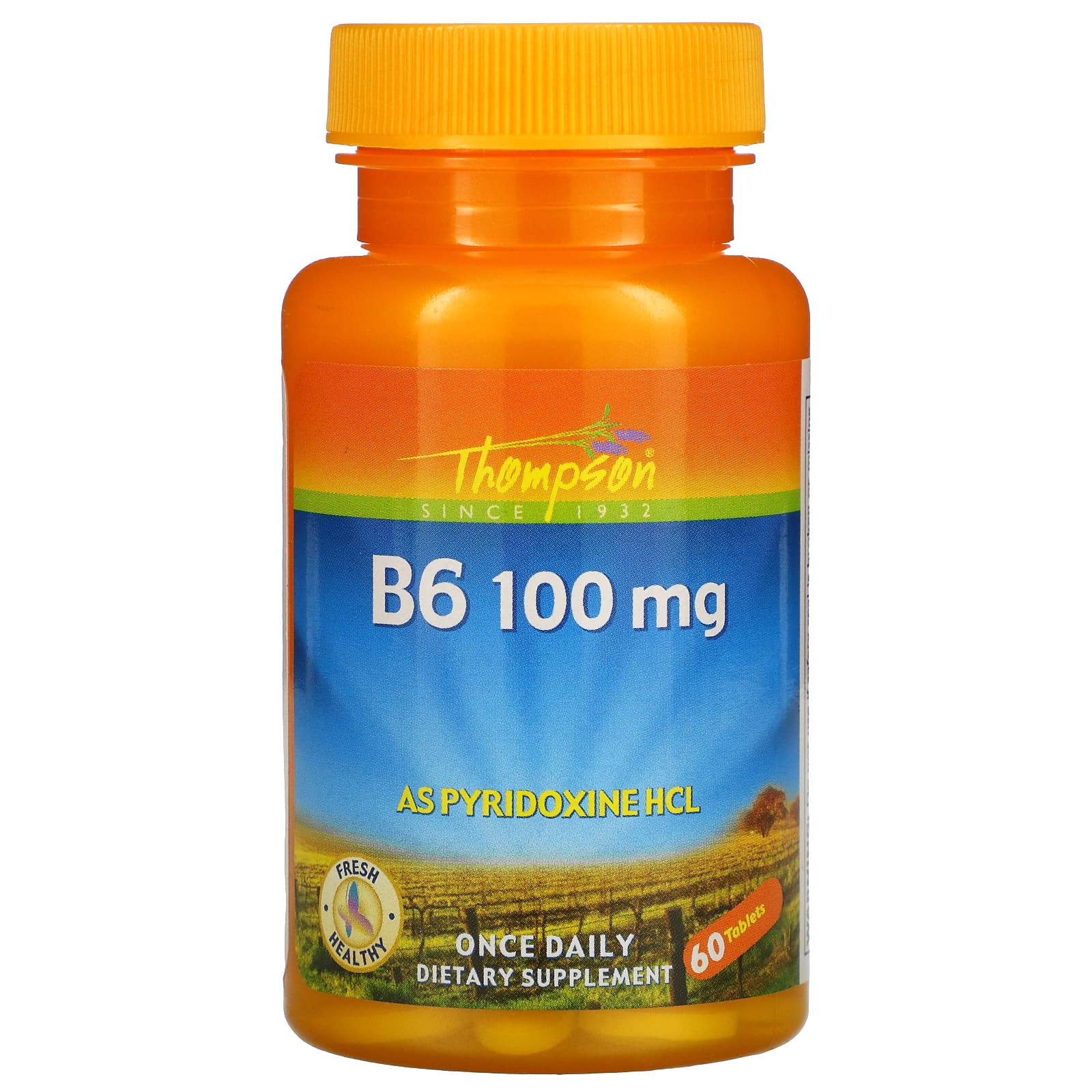 Thompson B6, 100 Mg, 60 Tablets, From Nutritional