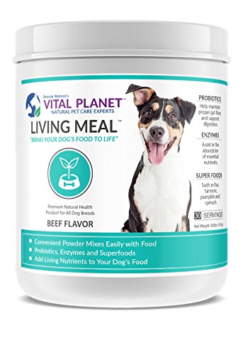 Vital Planet Beef Flavor Living Meal For Dogs, 3.92 Oz