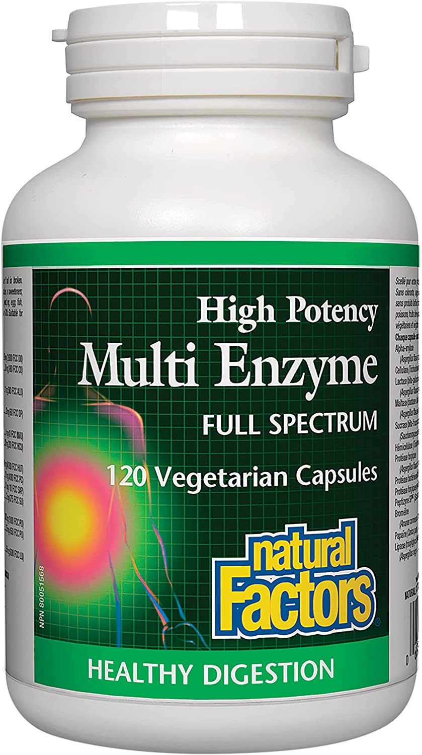 Natural Factors Multi Enzyme High Potency Vegetarian Formula, 120 Capsules