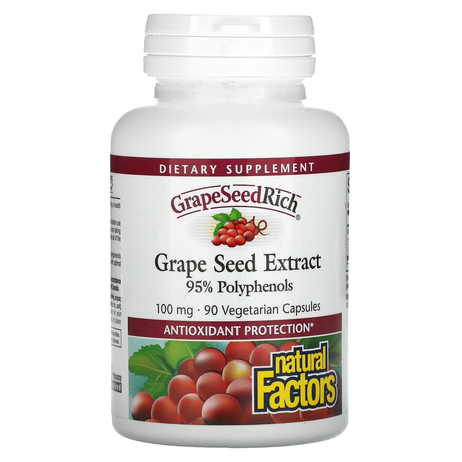 Natural Factors GrapeSeedRich, Grape Seed Extract, 100 Mg, 90 Vegetarian Capsules
